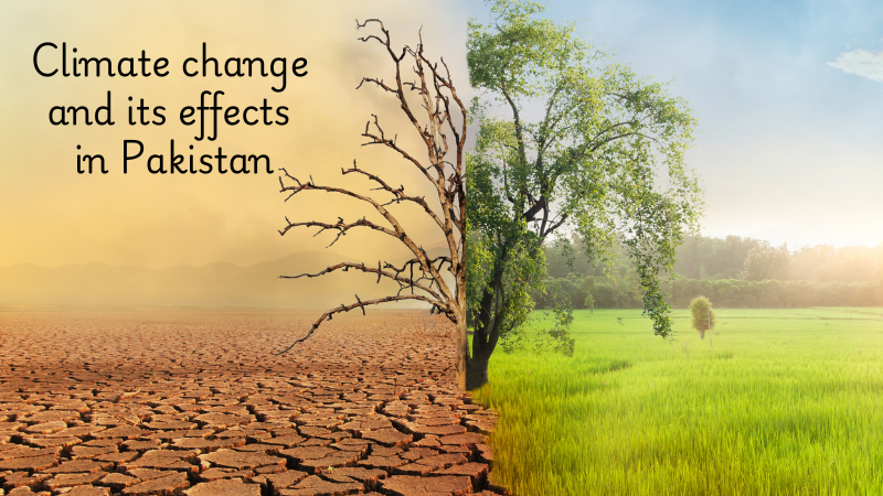 Pakistan is among the countries most affected by the effects of climate change. This natural change is affecting not only the climate system but also the economy, agriculture, health and people's lives. Experts say that if immediate steps are not taken regarding climate change, its consequences can be very harmful for Pakistan.